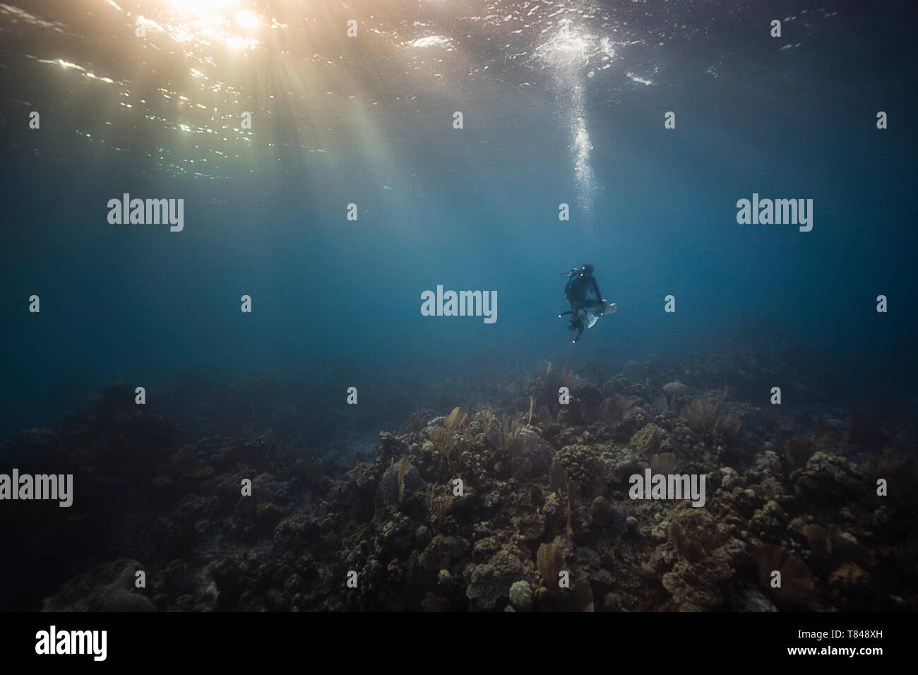 Male underwater photographer looking down toward sea bed, Exuma, Bahamas Stock Photo