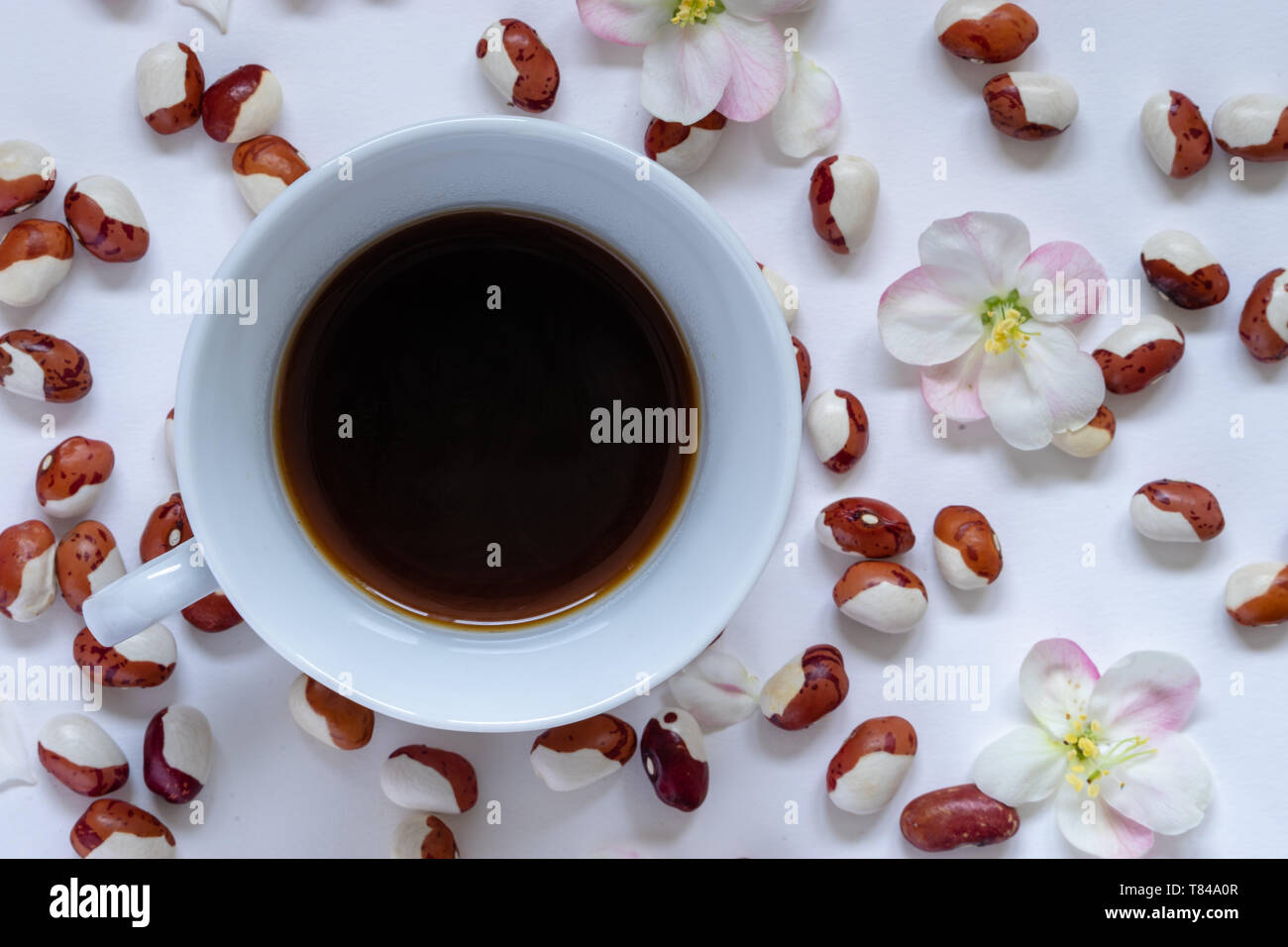 Cup of hot coffee with colorful beans, Phaseolus vulgaris,  and apple blossoms, Malus, on the table. Flat lay, top view. Stock Photo