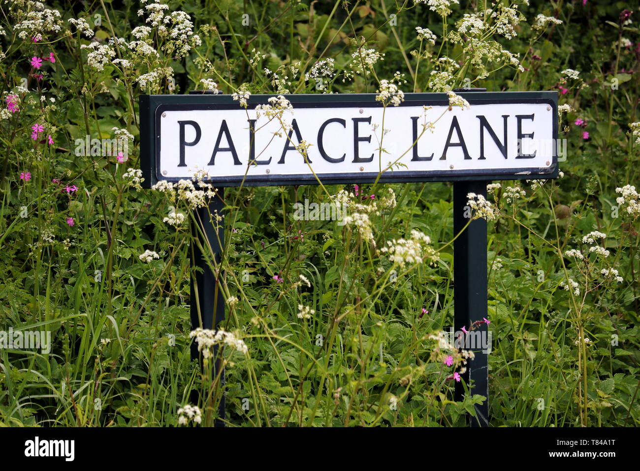 Palace Lane Sign, in the area of Filham, Ivybridge Town, South Hams of Devon, SW England Stock Photo