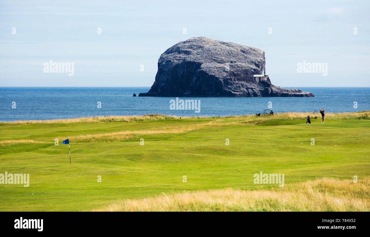 North Berwick, East Lothian, Scotland. Links golf course beside the Firth of Forth, the Bass Rock prominent in background. Stock Photo