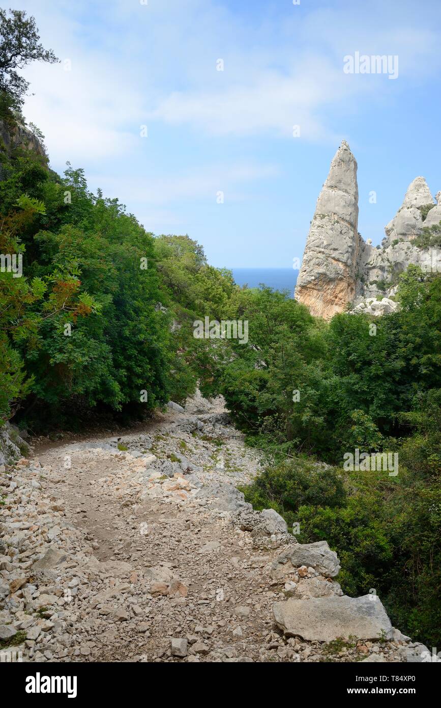 Footpath down Bacu Goloritze ravine towards Monte Caroddi / Aguglia limestone rock pinnacle on the coast, Gennargentu National Park, Baunei, Sardinia. Stock Photo
