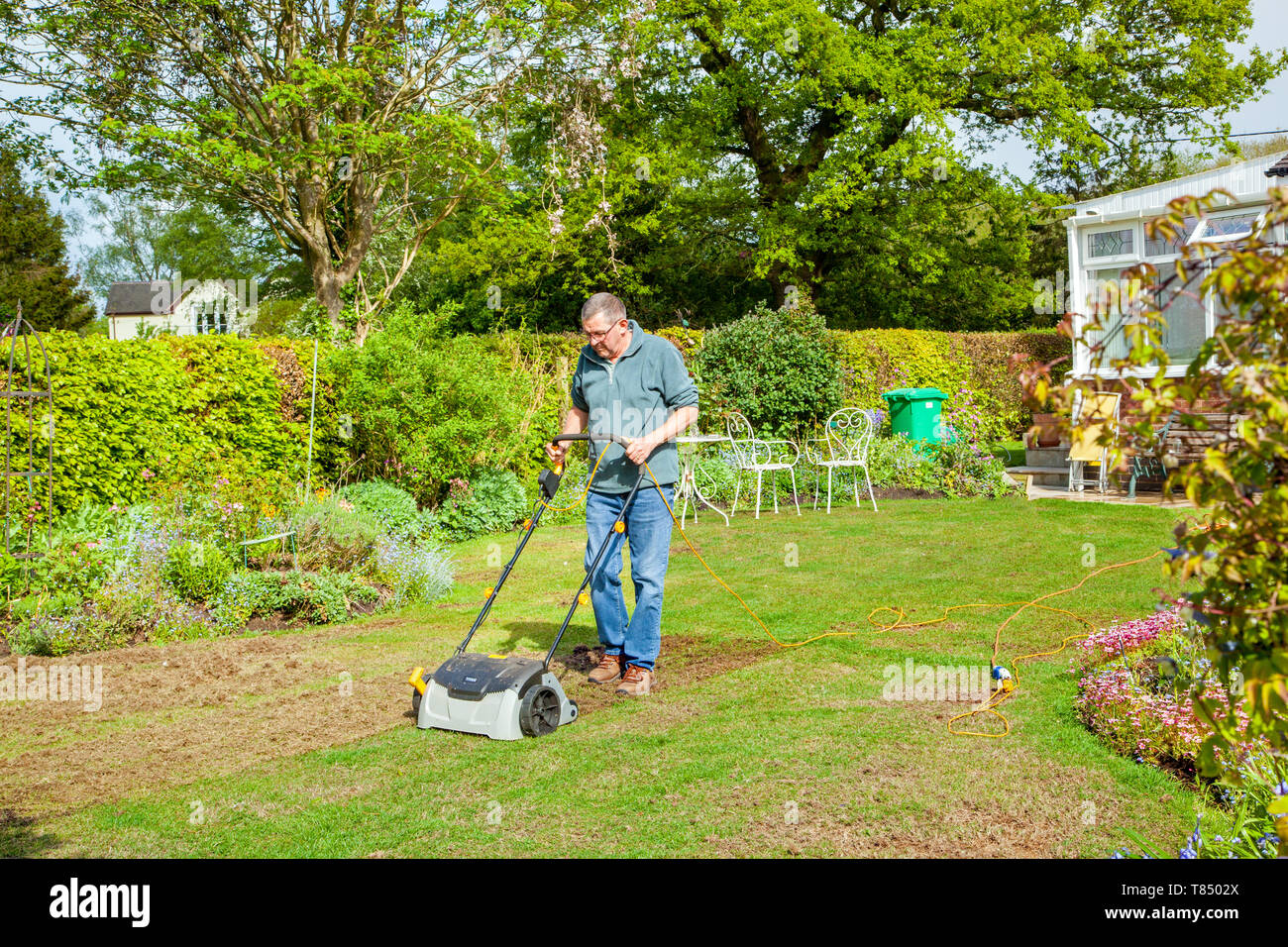 Man person scarifying / raking  a grass lawn with a electric powered lawn scarifier in an English country garden England UK Stock Photo