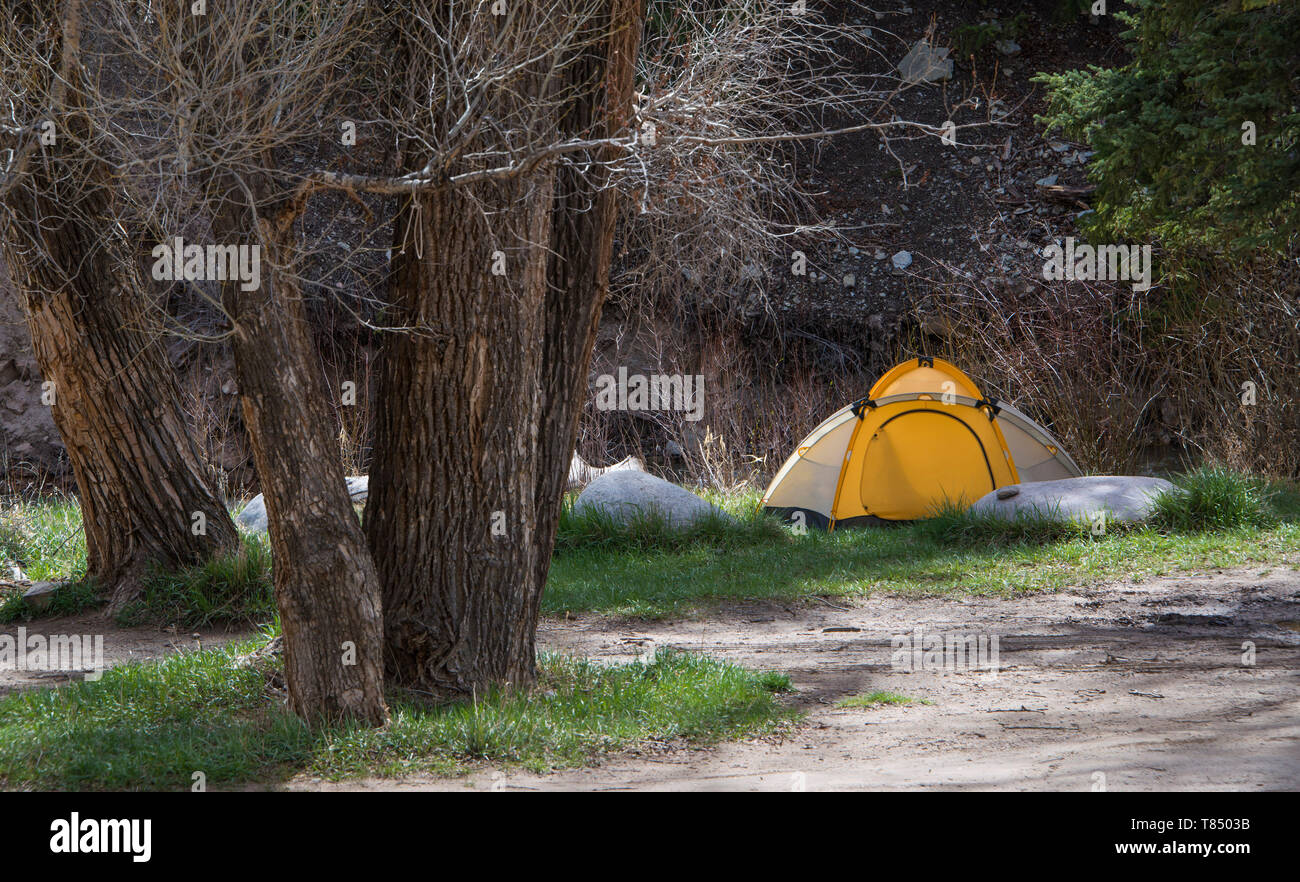 Yellow and white dome tent set up in remote backcountry campground in