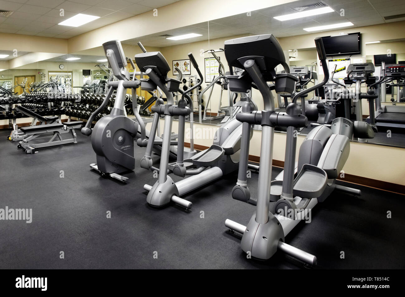 gym stationary bikes for sale
