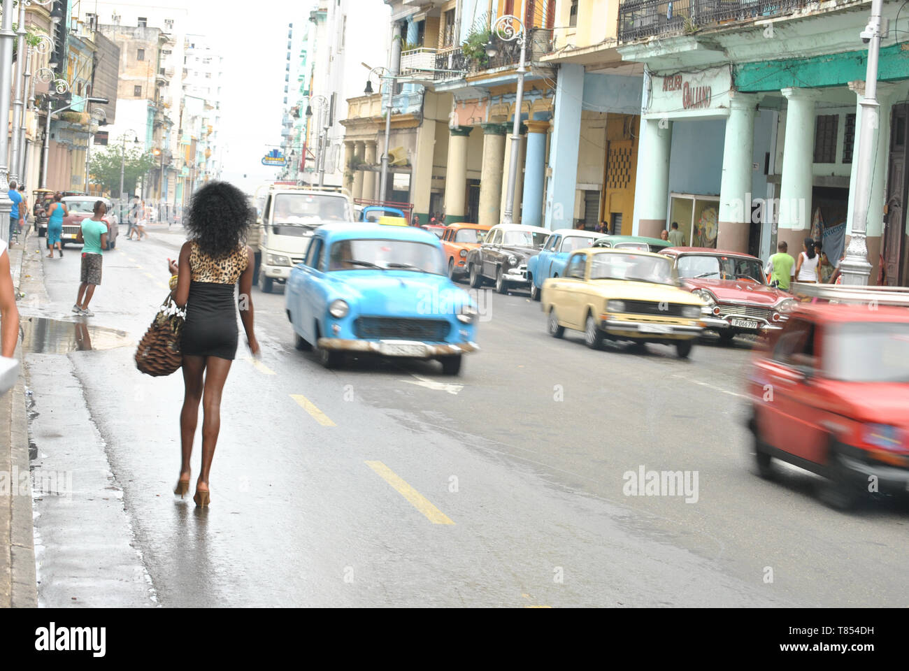 Havanna colourful street life a woman walking down the street full of old  cars Stock Photo - Alamy