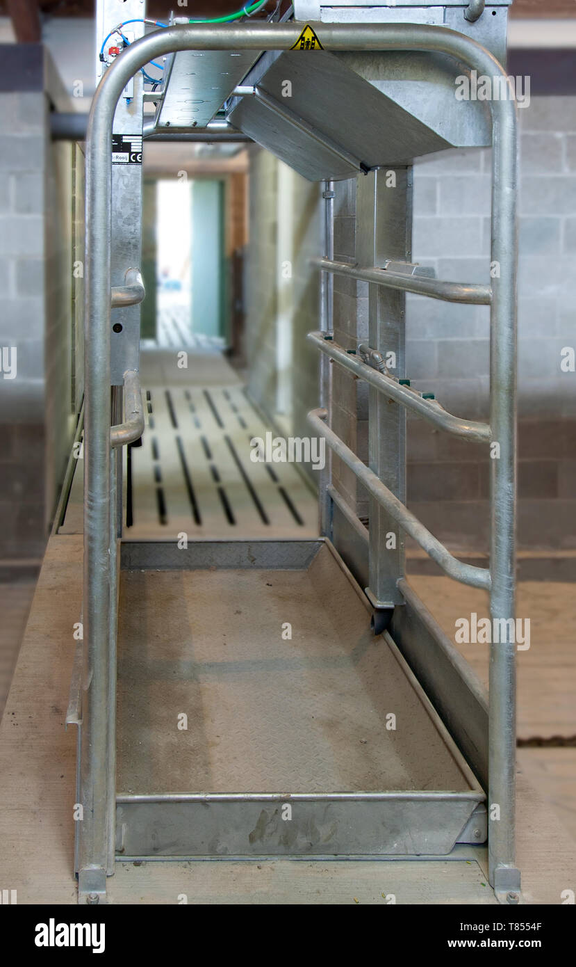 Cattle Foot Bath Walkway Stock Photo Alamy