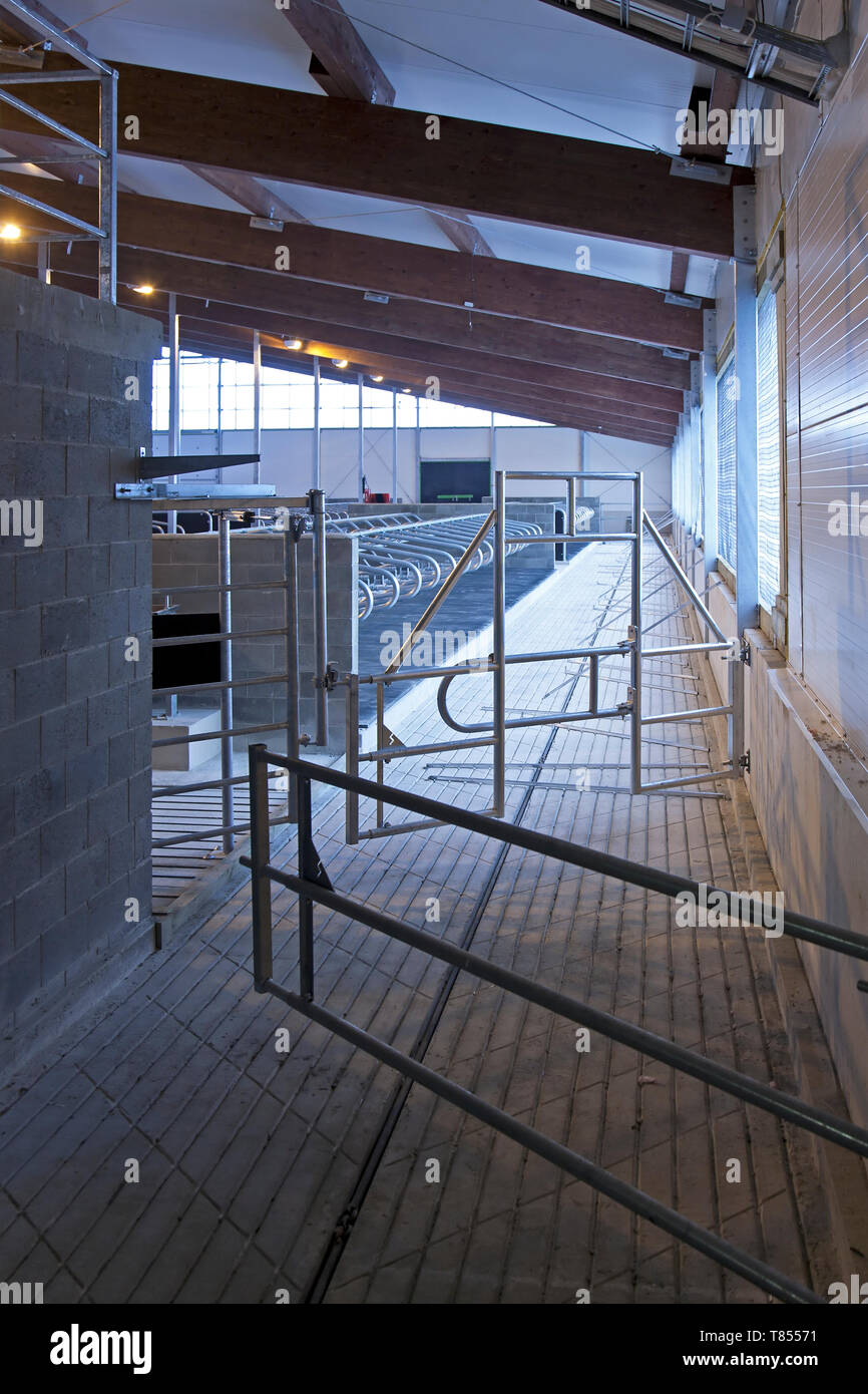 Gated Railing in a Cowshed Stock Photo