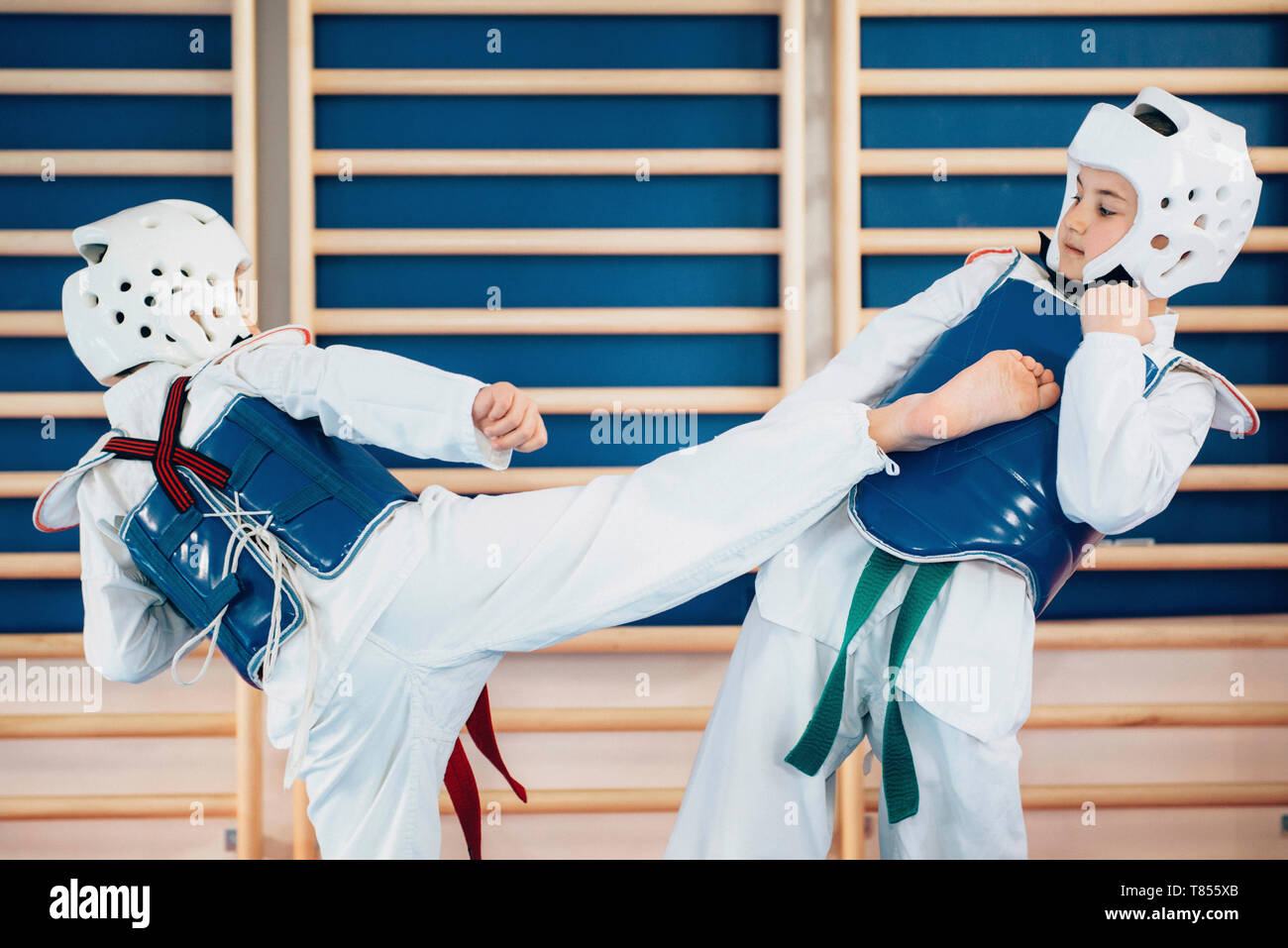 Children sparring in taekwondo class Stock Photo Alamy