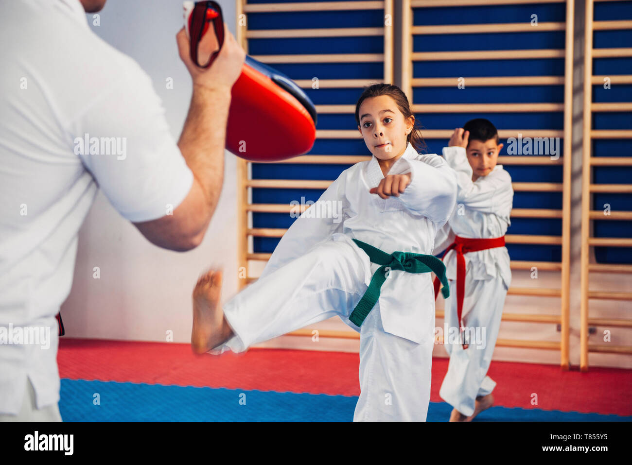 Children in taekwondo class Stock Photo Alamy