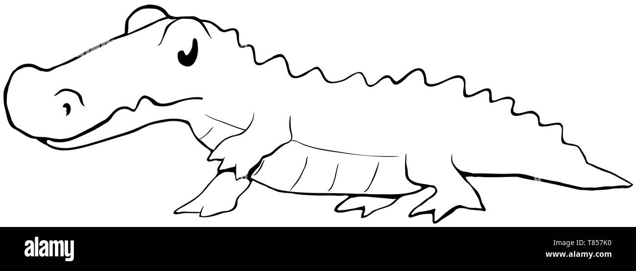 Smiling crocodile Black and White Stock Photos & Images - Alamy