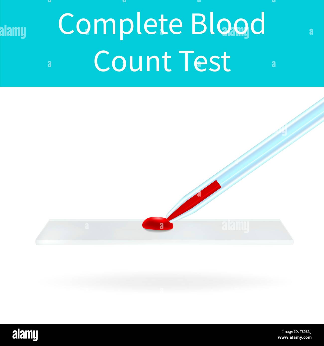 Complete blood count test, illustration Stock Photo Alamy