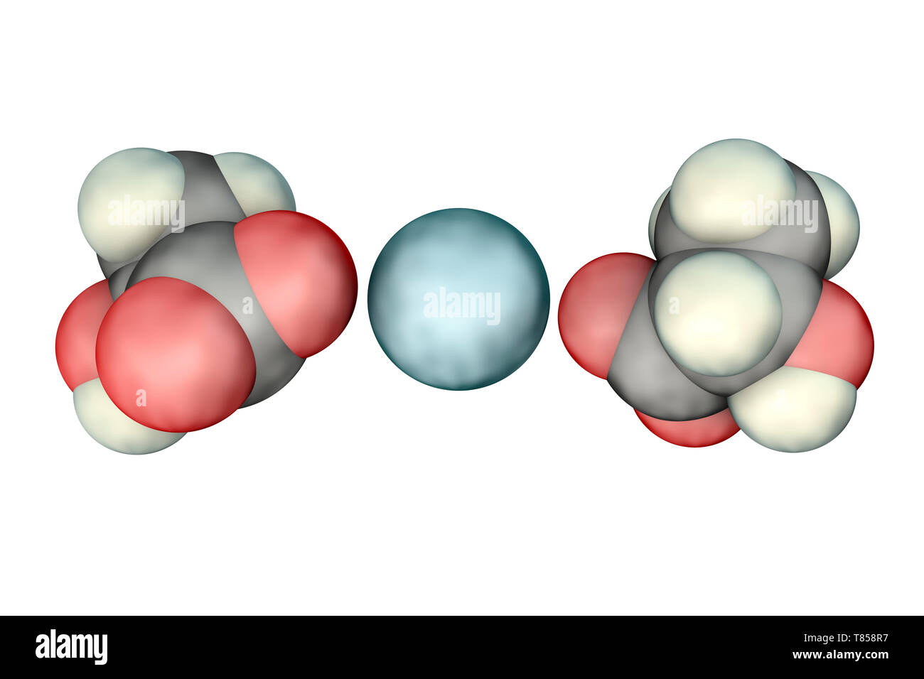Calcium lactate, molecular model Stock Photo Alamy