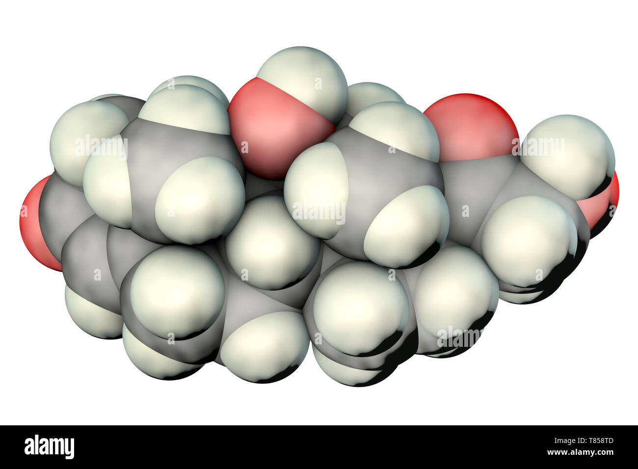 Cortisol, molecular model Stock Photo - Alamy