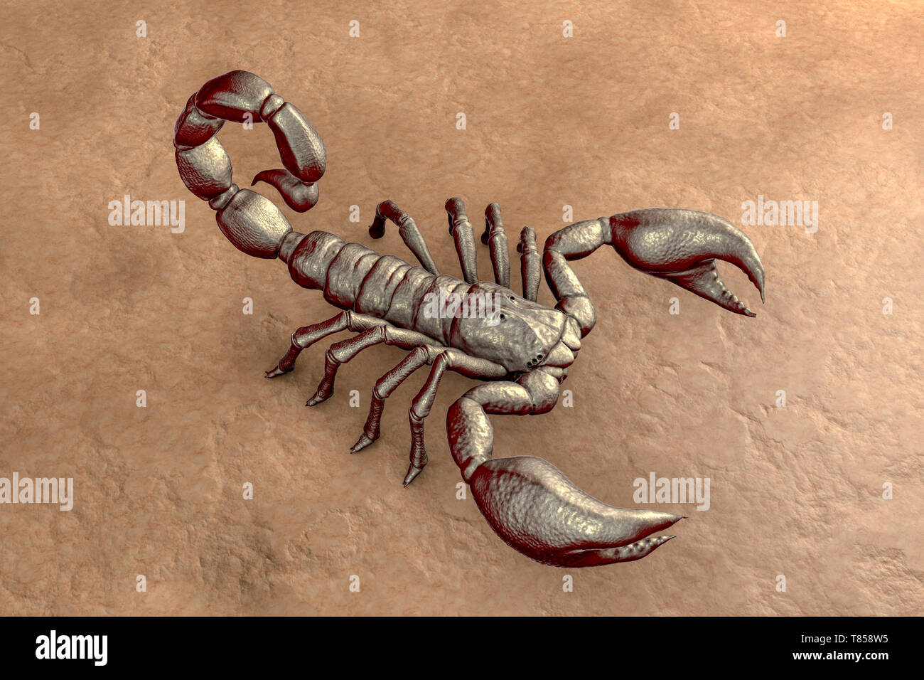 Scorpion, illustration Stock Photo