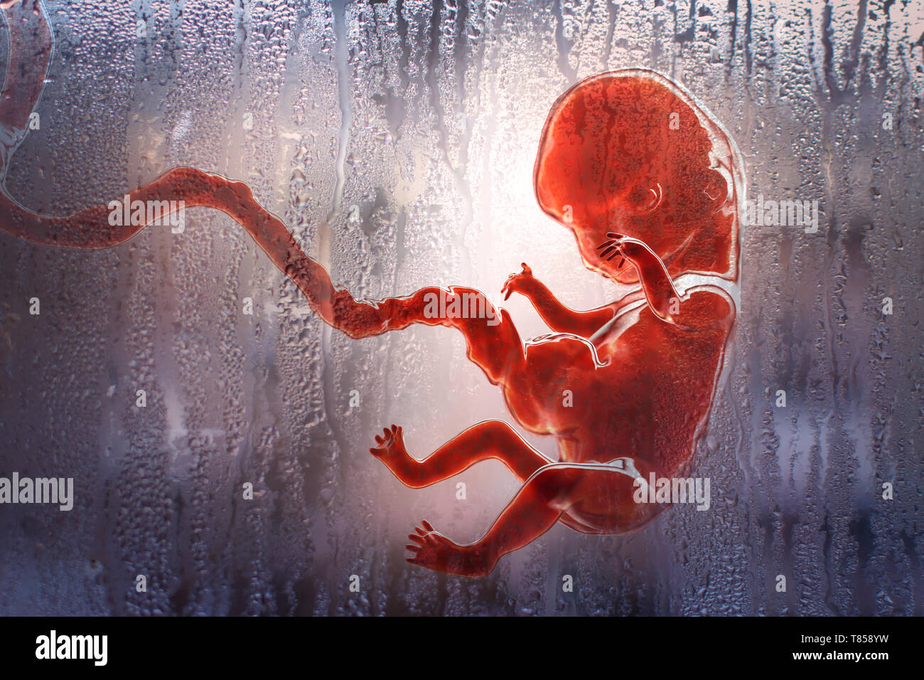 Abortion, conceptual illustration Stock Photo