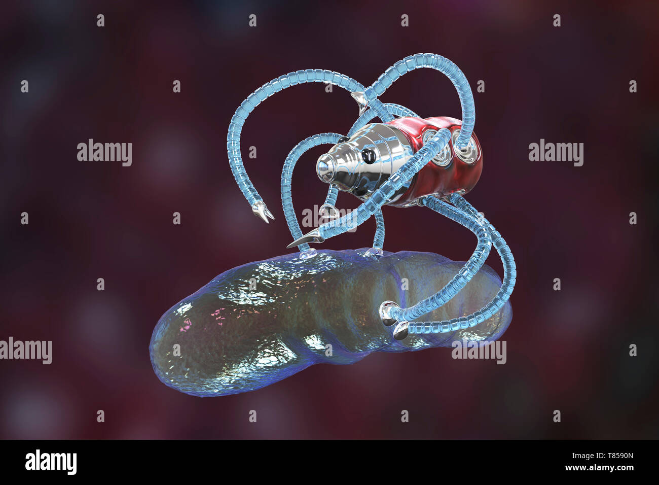 Medical Nanorobot Fighting With Bacterium, Illustration Stock Photo - Alamy