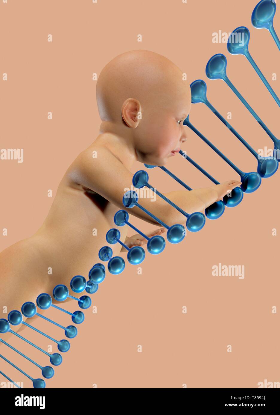 Baby and dna, illustration Stock Photo