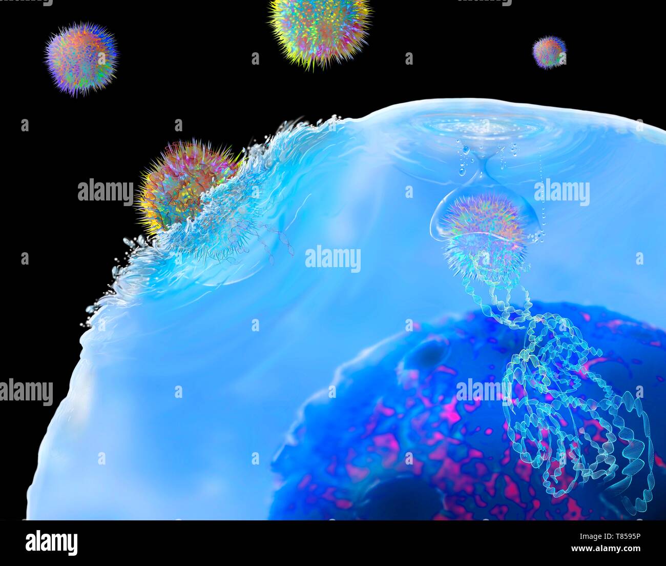 Car t cell immunotherapy hi-res stock photography and images - Alamy