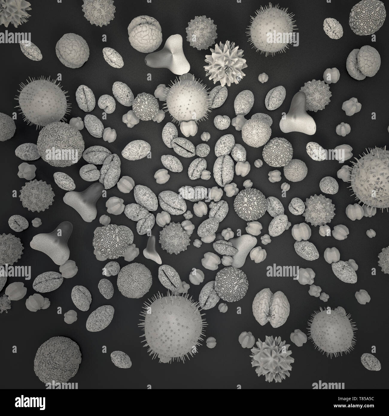 Pollen grains, illustration Stock Photo - Alamy
