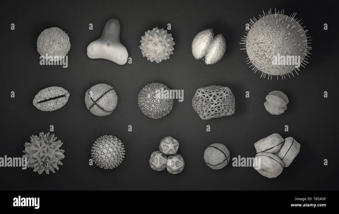 Pollen grains, illustration Stock Photo - Alamy