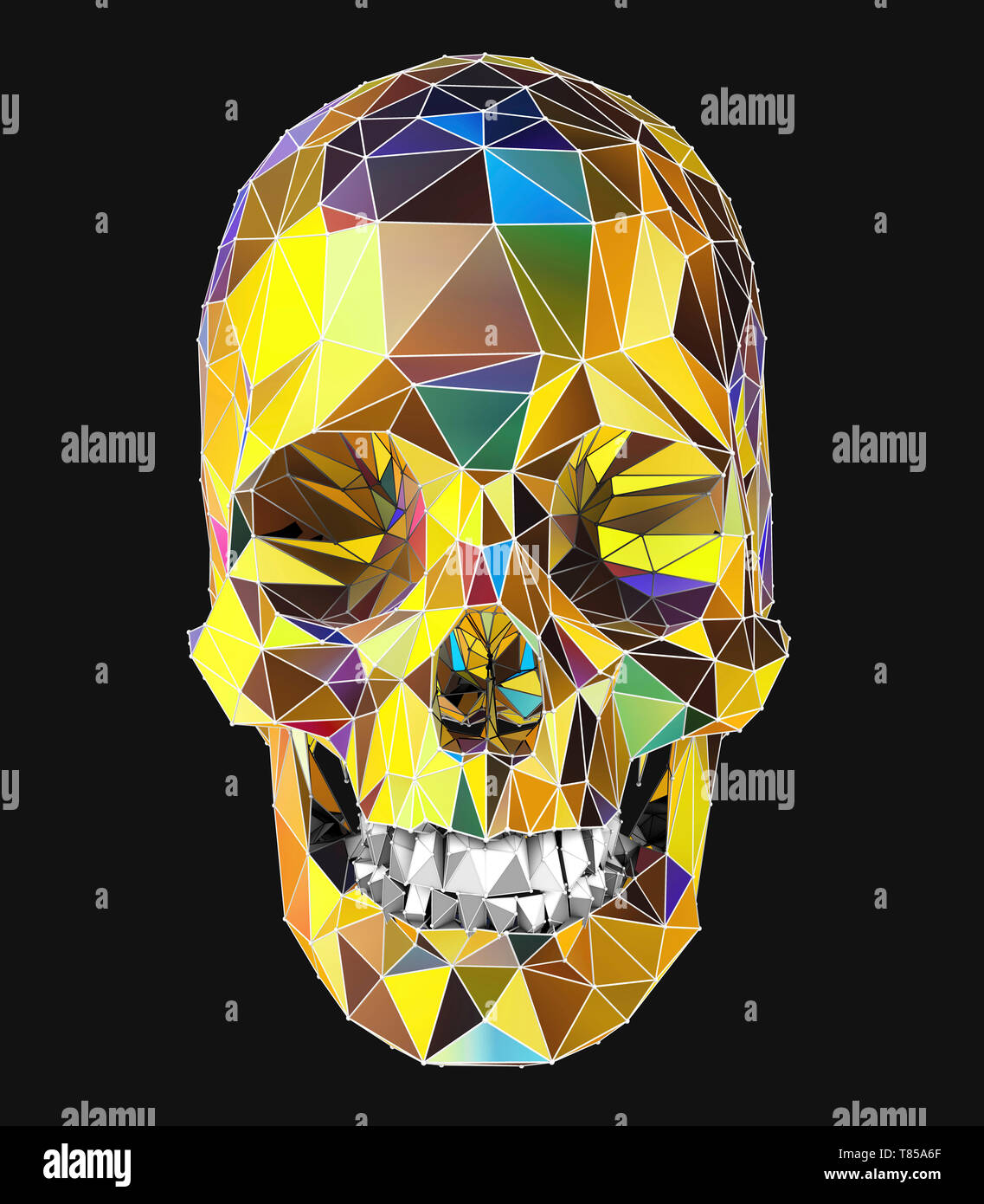 Human skull, illustration Stock Photo