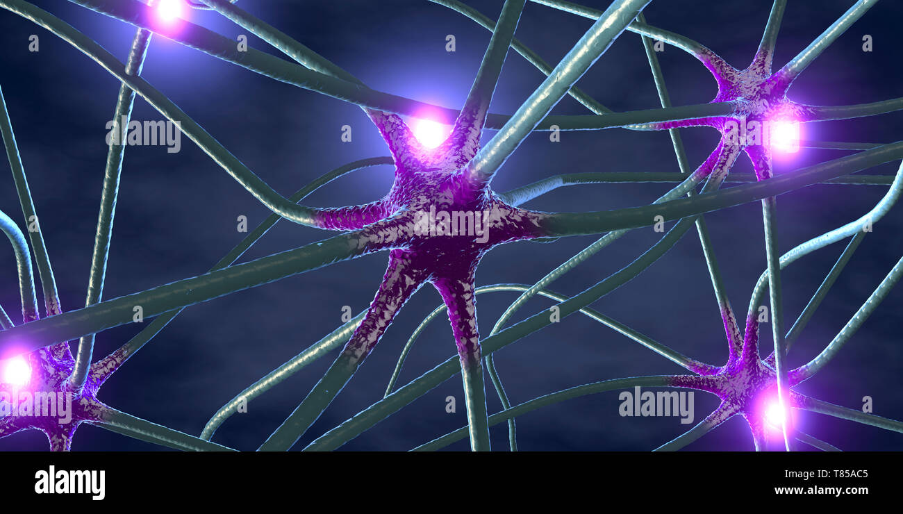 Parkinson nerve cells hi-res stock photography and images - Alamy