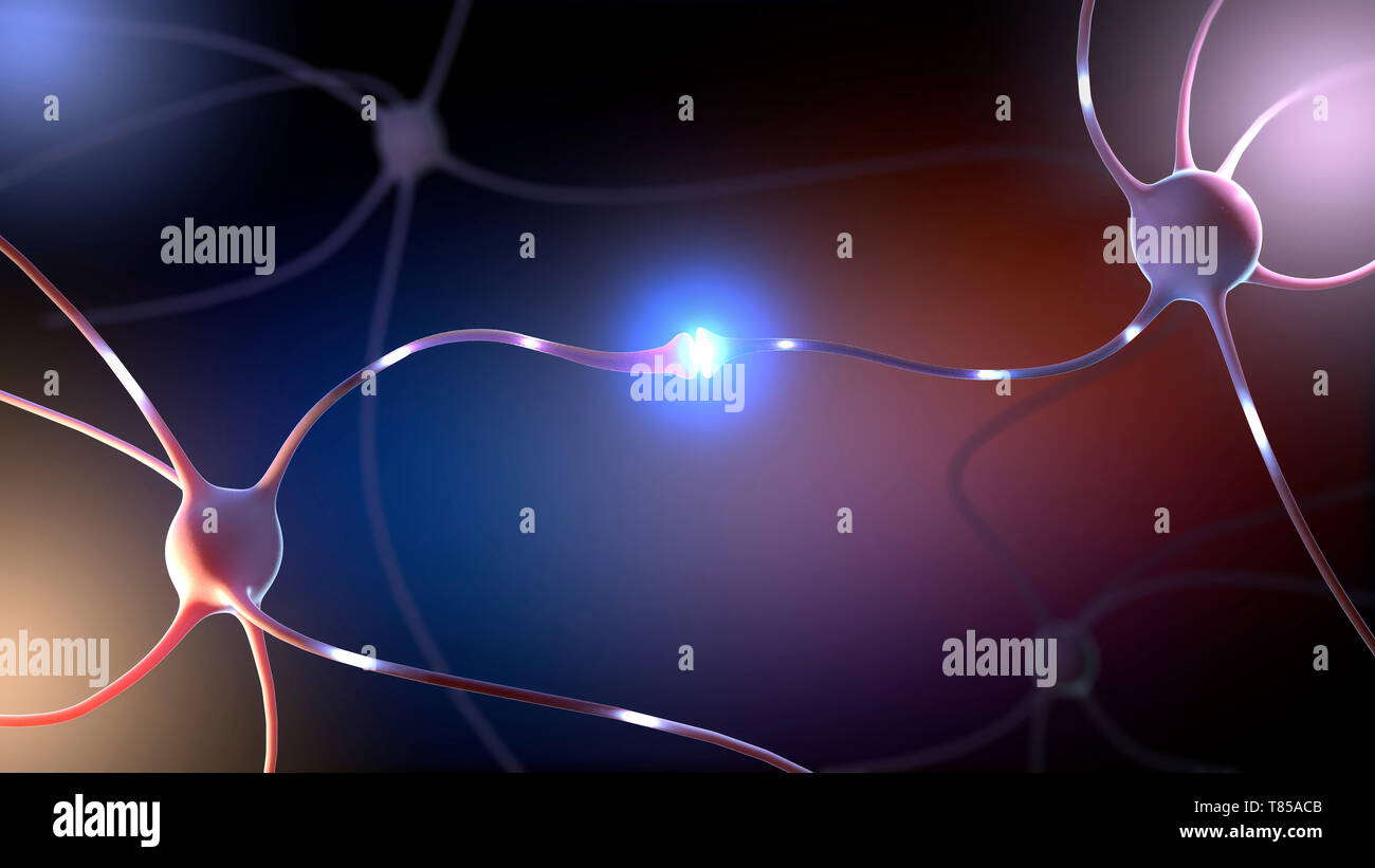 Parkinson nerve cells hi-res stock photography and images - Alamy