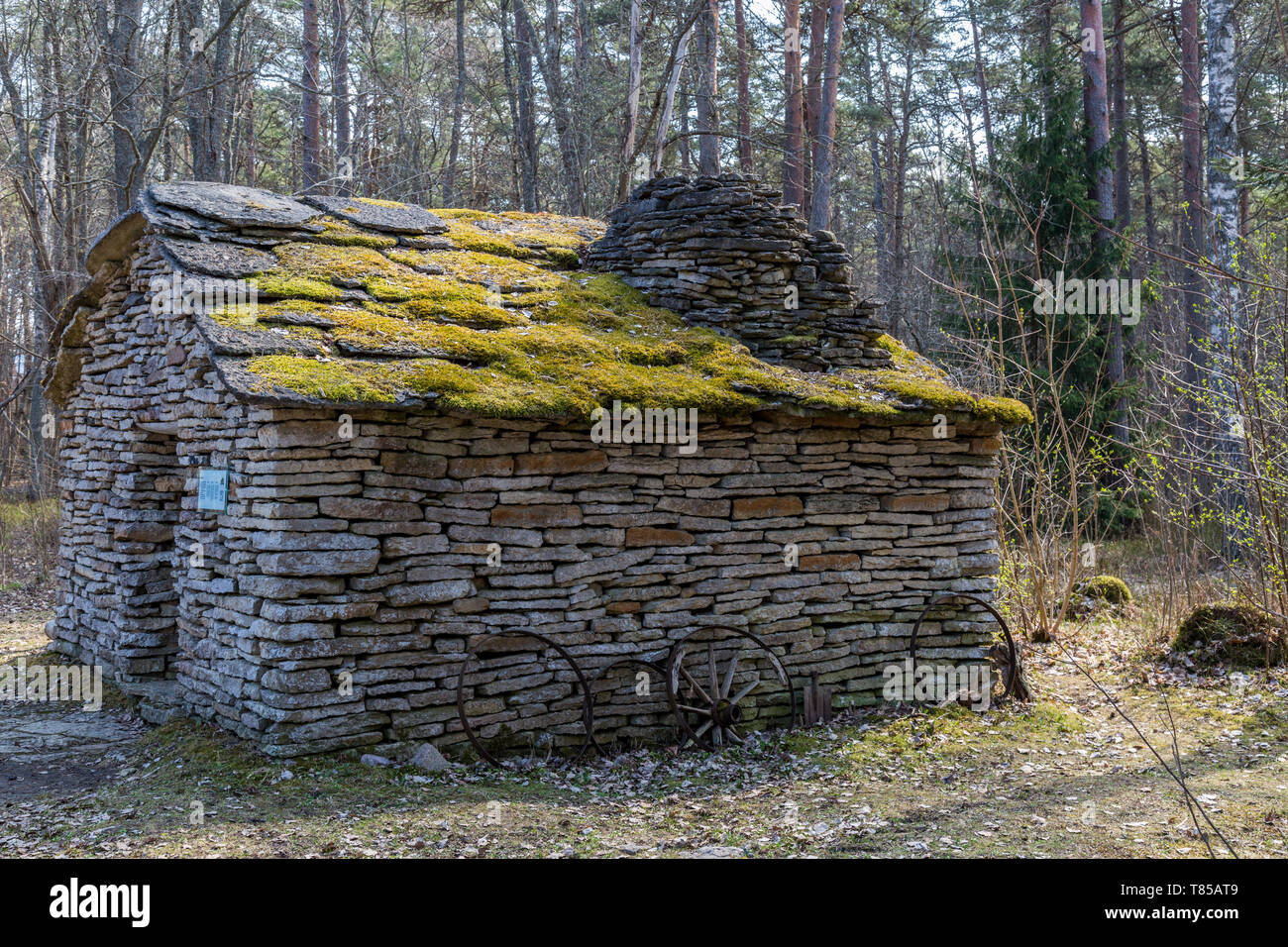 Old Barn Covered by Moss Stock Photo - Alamy