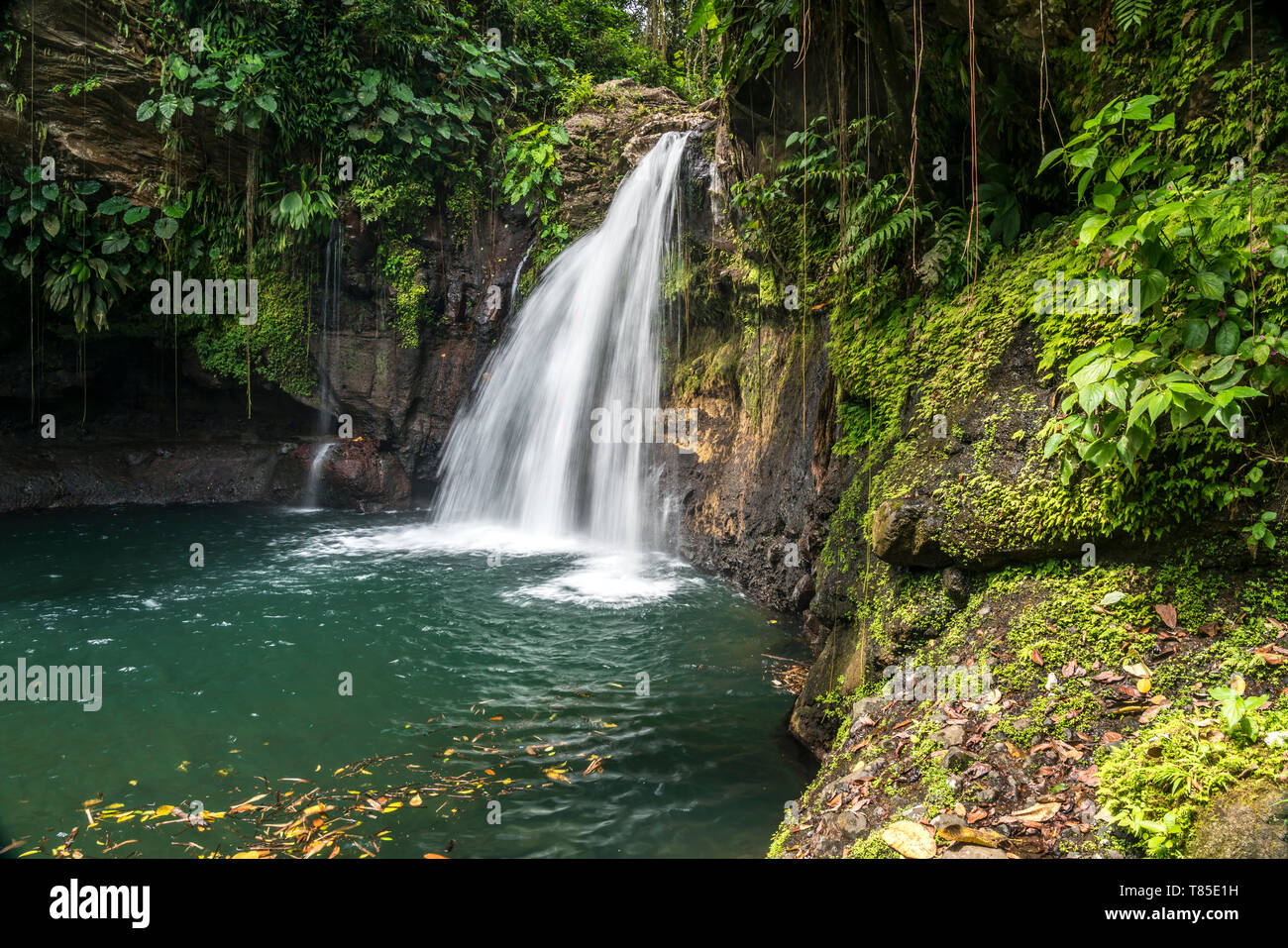 Wasserfall Saut de la Lezarde, Basse-TerreGuadeloupe, Frankreich  |  waterfall Saut de la Lezarde,  Basse-Terre, Guadeloupe, France Stock Photo