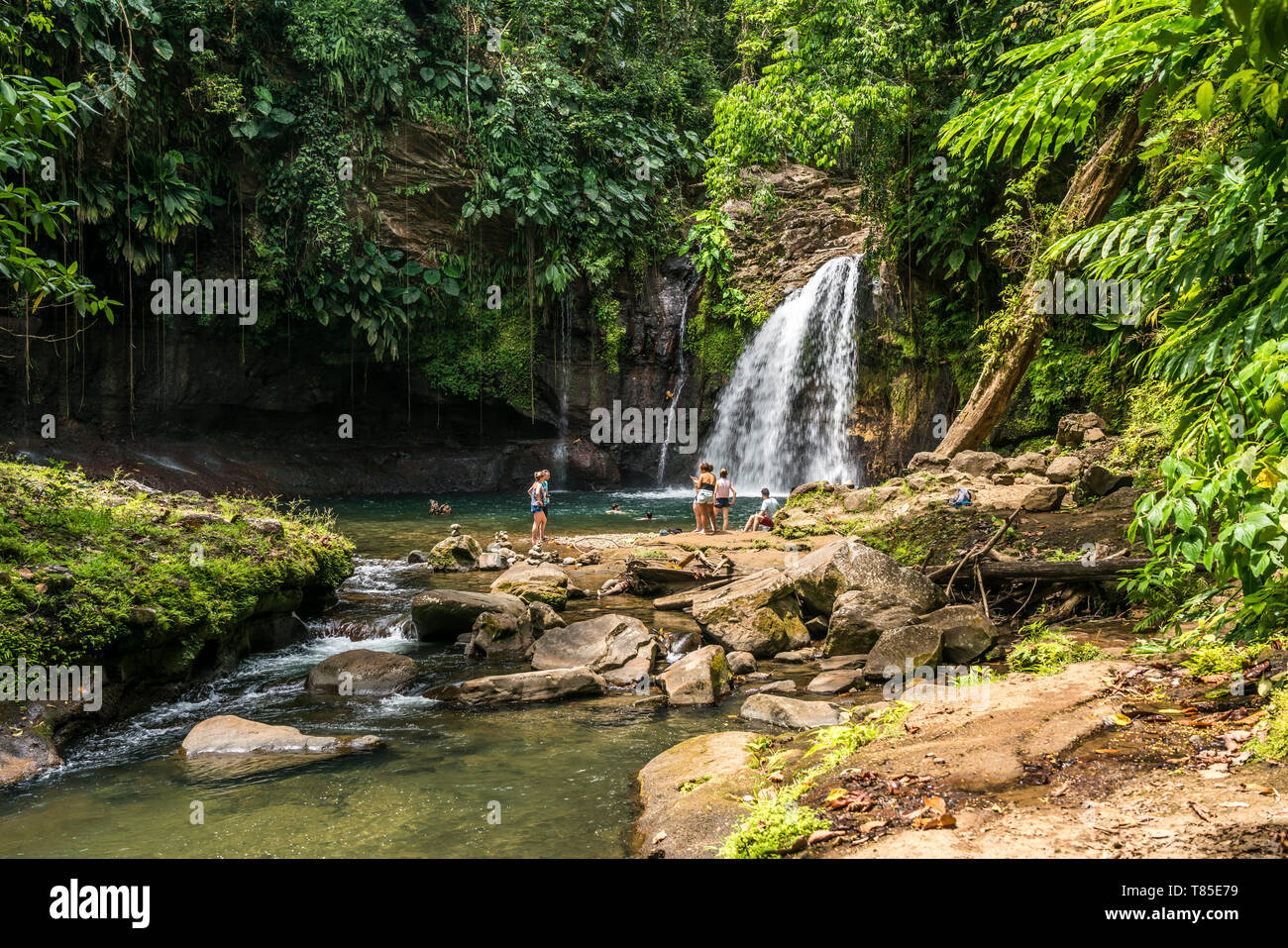 Besucher am Wasserfall Saut de la Lezarde, Basse-TerreGuadeloupe, Frankreich  | tourists at the waterfall Saut de la Lezarde,  Basse-Terre, Guadeloupe Stock Photo