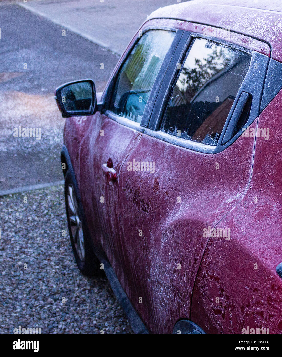 Purple car covered in frost on a very cold winter morning before scraping the ice off the windows and going to work in the depth of winter. Stock Photo