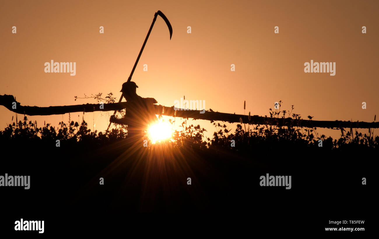 Silhouette of young farmer in village standing with sickle scythe rake tool in green summer