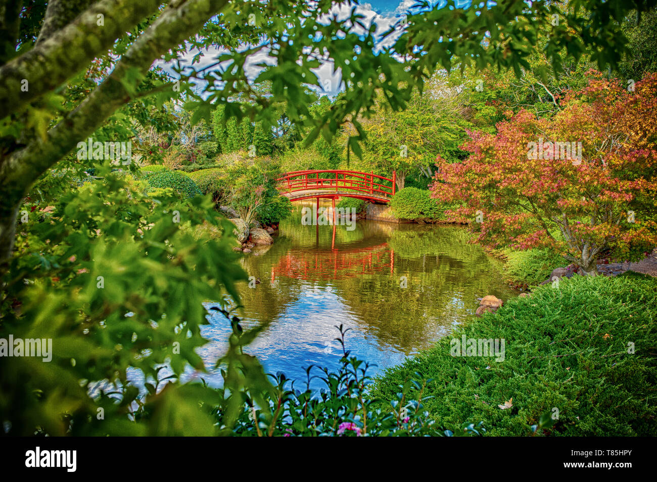 Japanese Gardens, Toowoomba, QLD, AU Stock Photo