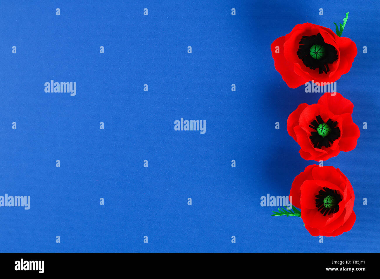 Diy paper red poppy Anzac Day, Remembrance, Remember, Memorial day made of crepe paper on blue background. Symbol war. Gift idea, decor. Step by step. Stock Photo