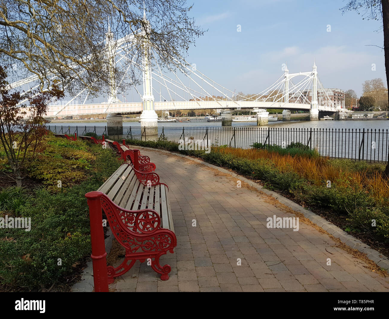 View of the Albert bridge from Battersea park inLondon, England, UK