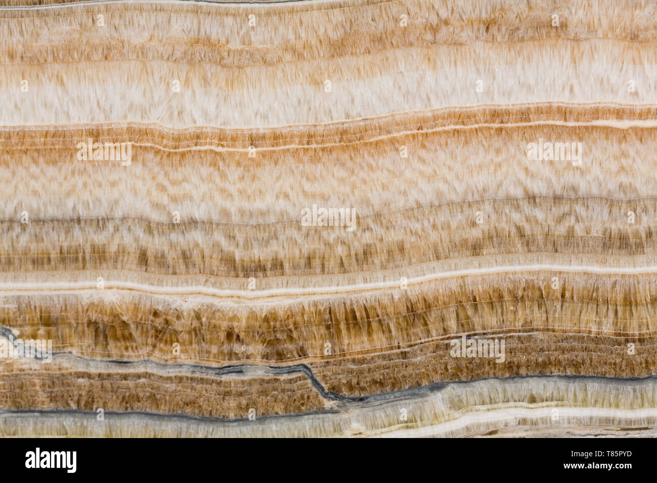 Awesome texture for your superlative new interior. Stock Photo