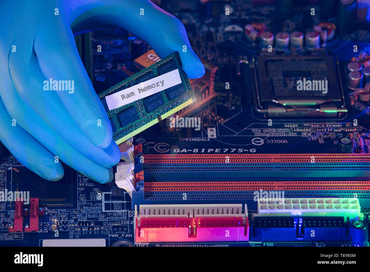 hands with blue gloves assembling a motherboard Stock Photo