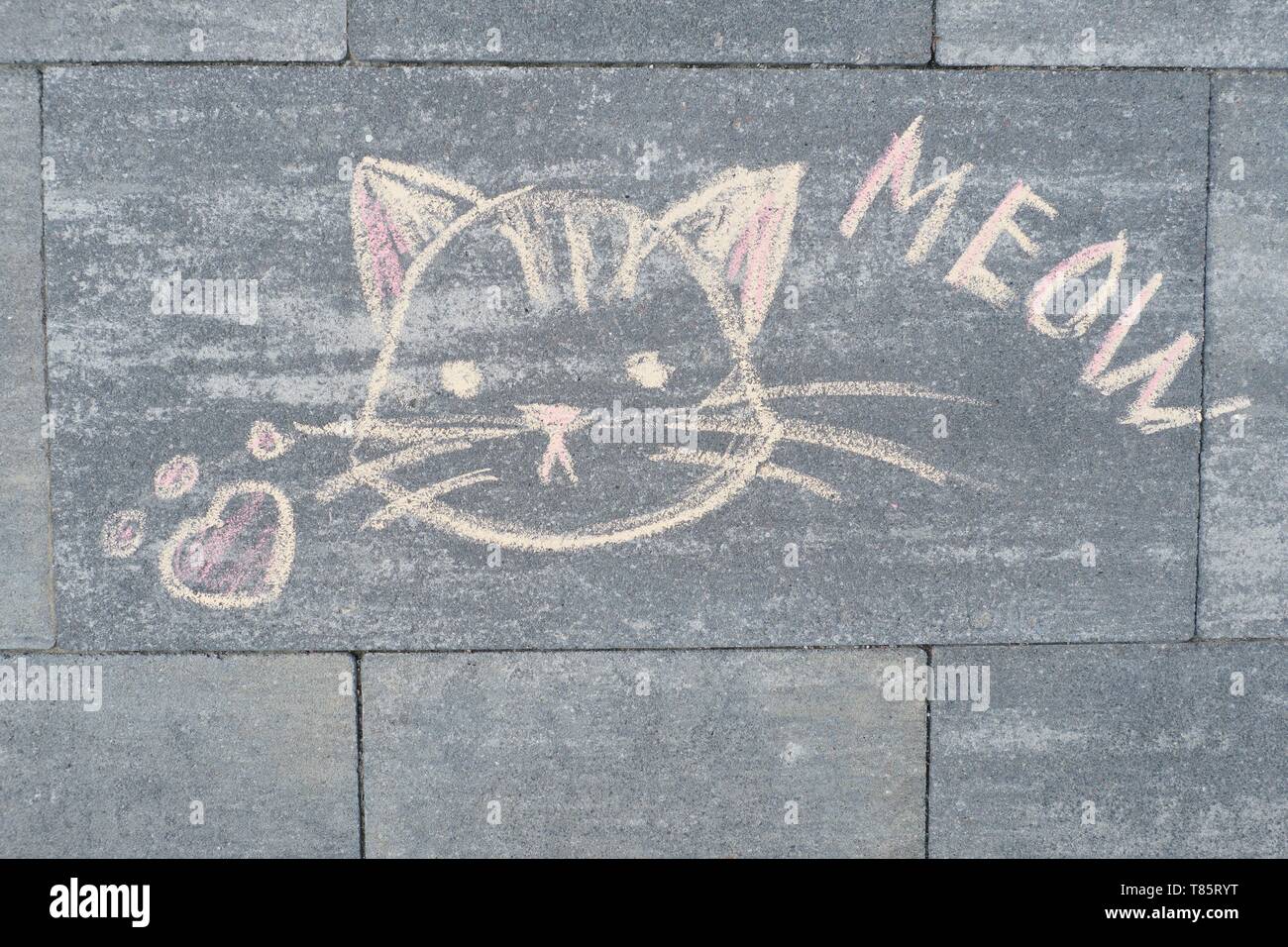 Meow text and cat picture written on gray sidewalk in crayons, top view Stock Photo