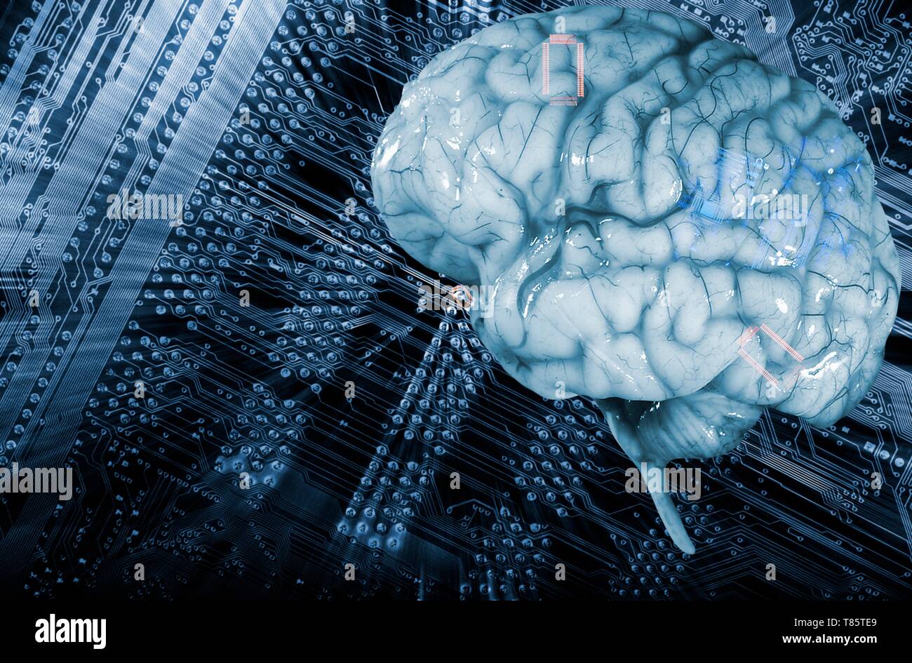 Artificial intelligence, conceptual image Stock Photo