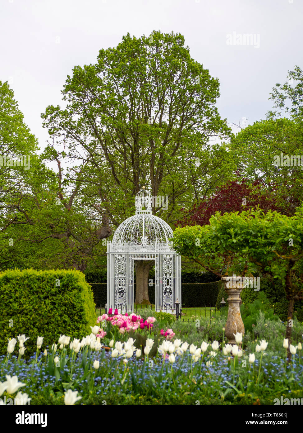 White Pagoda in the Parterre at Chenies Manor Gardens in early May with White tuilp Triumphator, topiary trees, sundial and pink tulips in portrait. Stock Photo