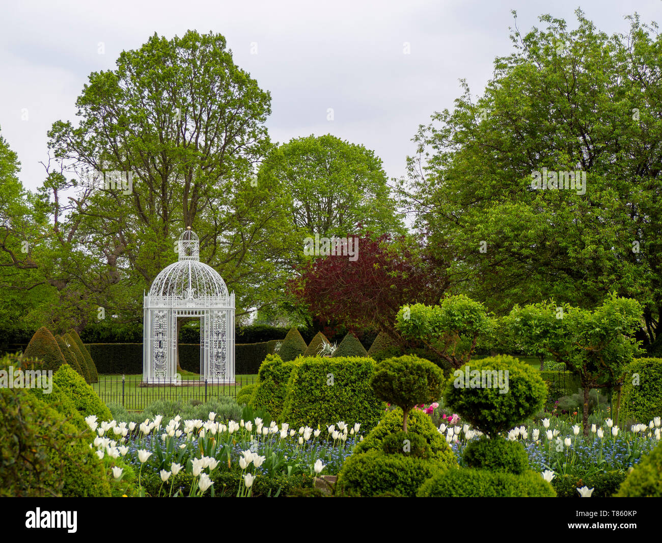 The White Pagoda in the Parterre at Chenies Manor Gardens in early May with White tuilp Triumphator and topiary in Landscape view. Stock Photo