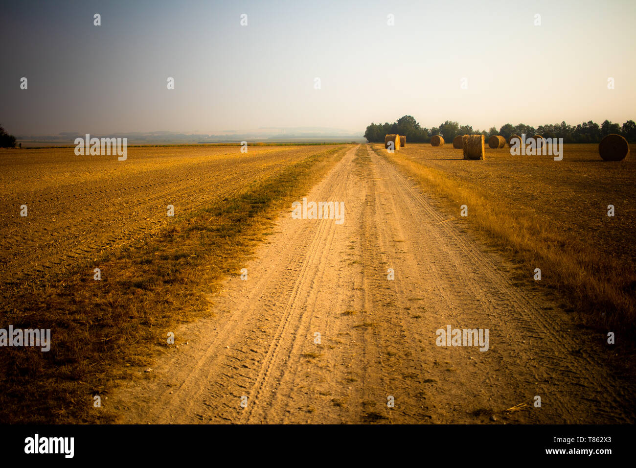 Tiny dusty road in the countryside between fields Stock Photo