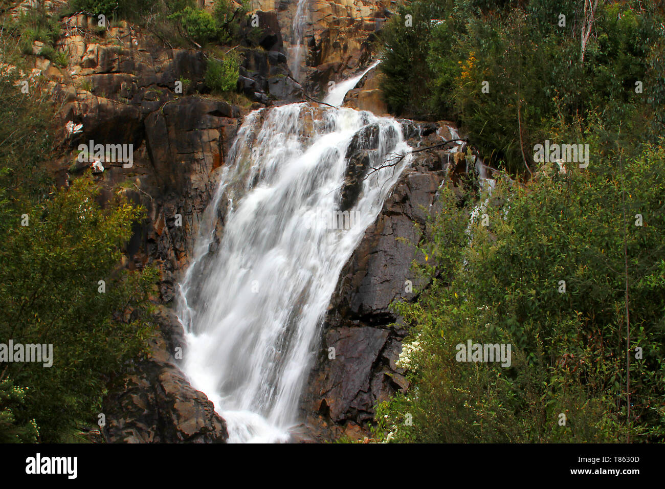 Steavenson Falls, a waterfall on the Steavenson River, is located 4 kilometres (2.5 mi) southeast of Marysville, Victoria, Australia. Stock Photo