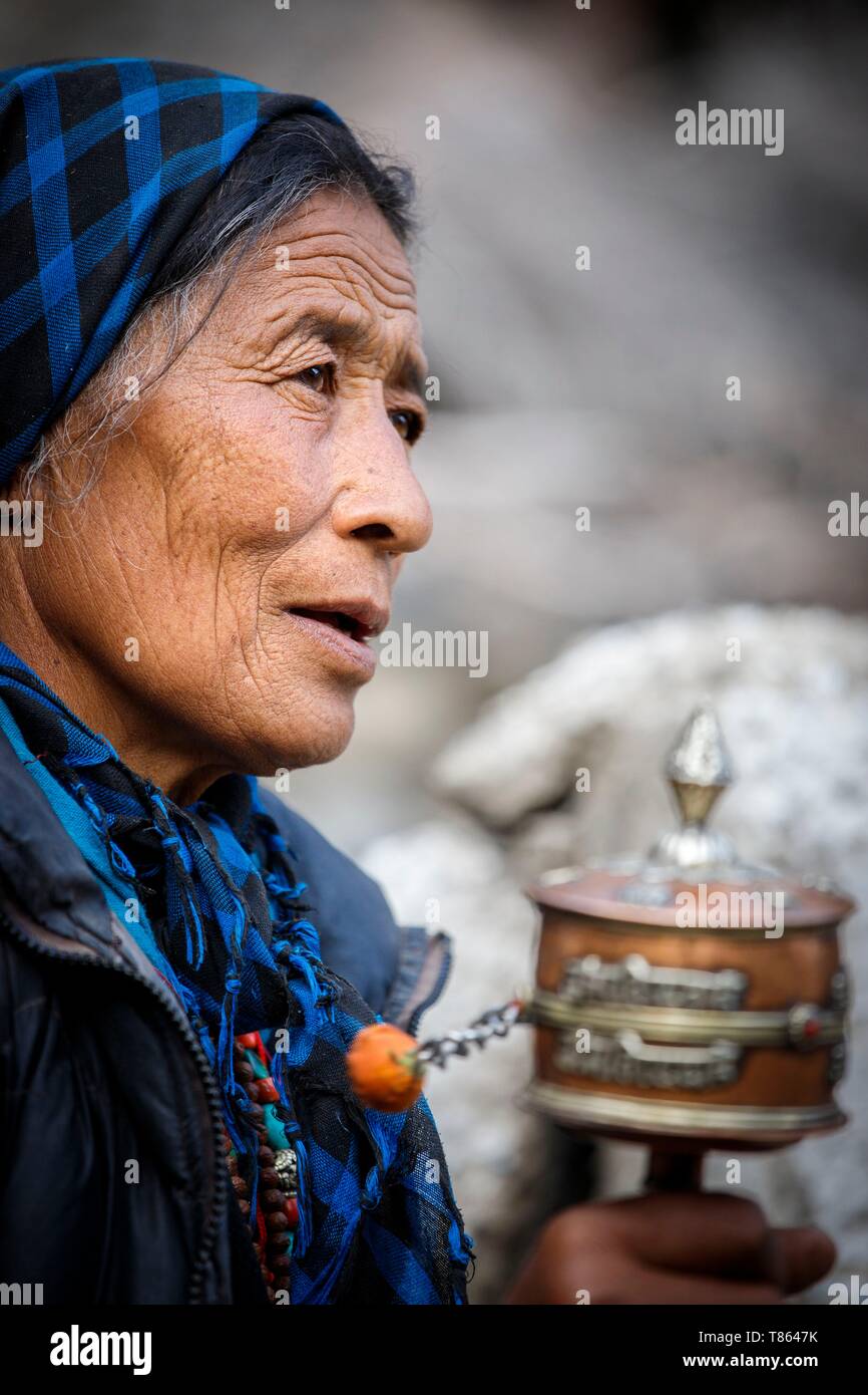 India, state of Jammu and Kashmir, Himalaya, Ladakh, Zanskar, an