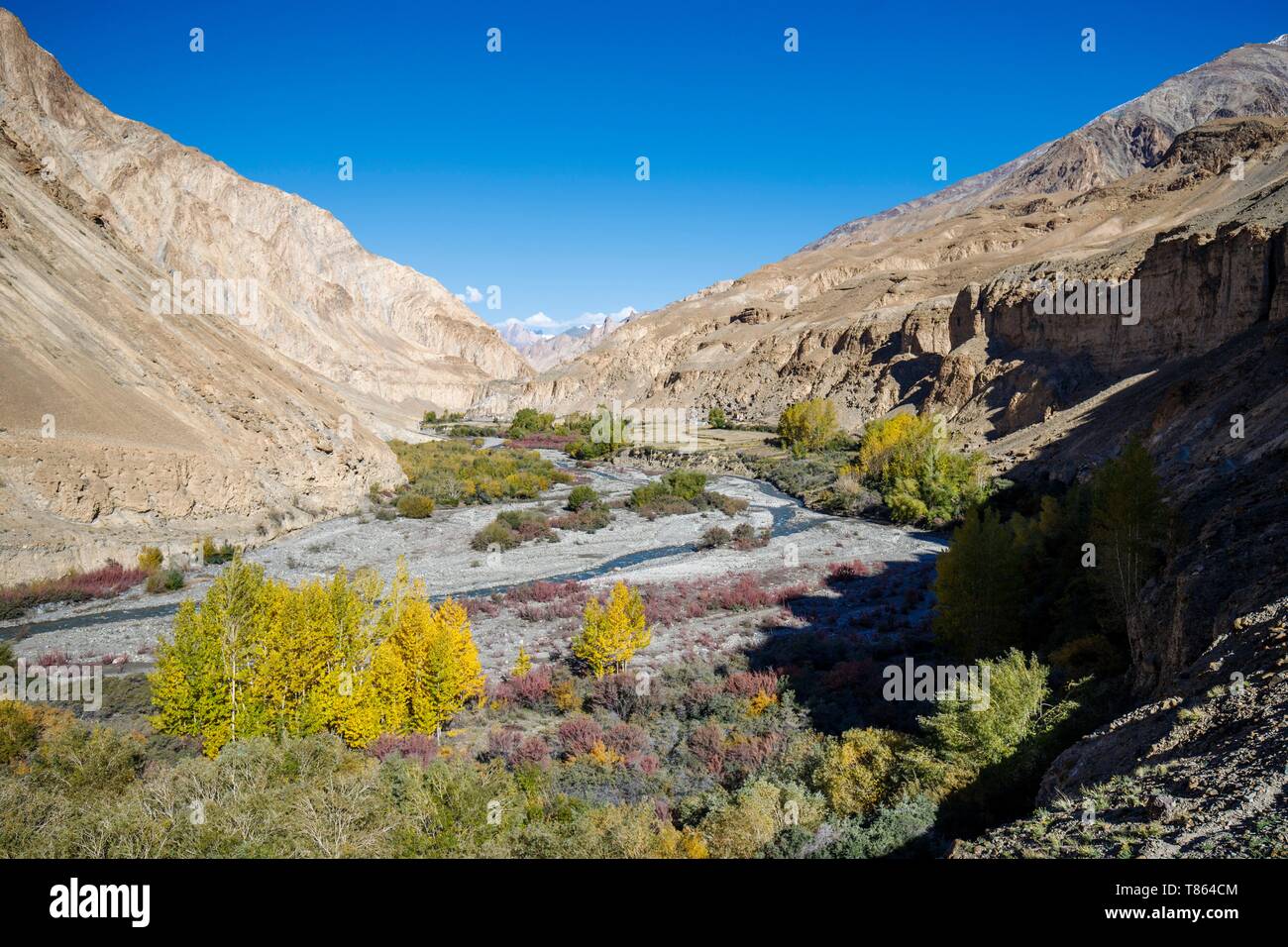 India, state of Jammu and Kashmir, Himalaya, Ladakh, Hemis National Park, trekking from Chilling to Chogdo in the Markha valley, Stock Photo