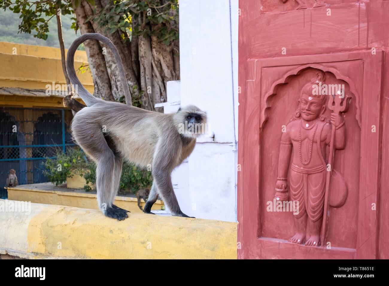 Monkey at a temple hi-res stock photography and images - Alamy