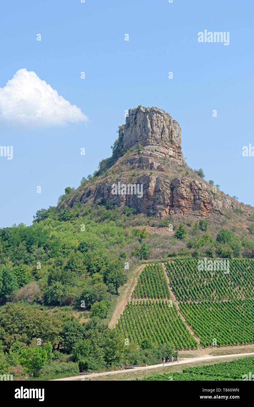 France, Saone et Loire, The rock of Solutre and the vineyard of Pouilly Fuisse Stock Photo
