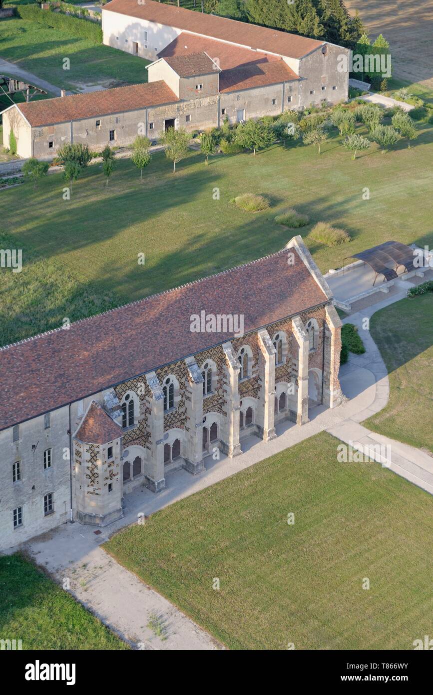 France, Cote d'Or, Saint Nicolas les Citeaux, Abbey Notre Dame of Citeaux,  founder of the order of Citeaux, The library Stock Photo - Alamy