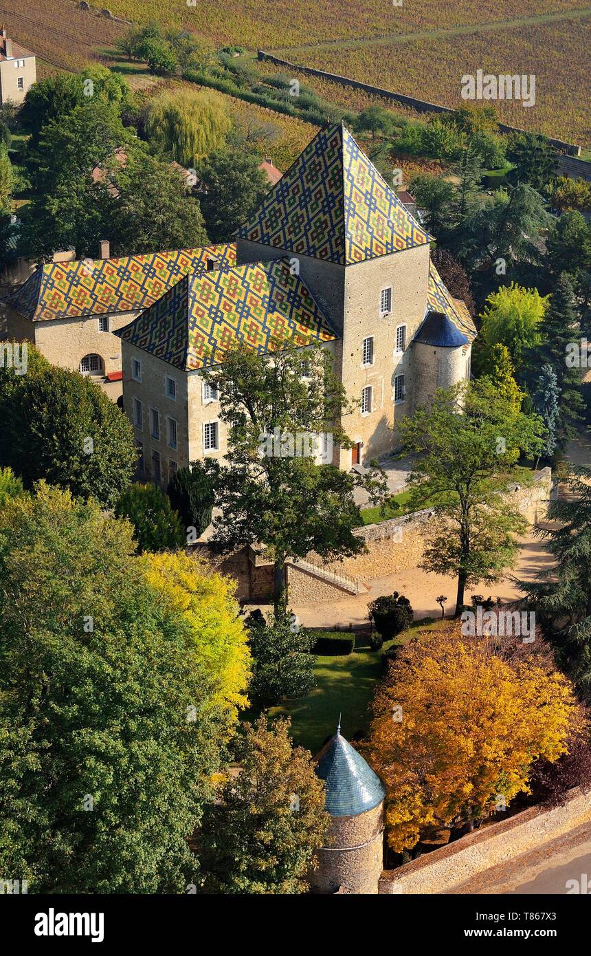 France, Cote d'Or, Cultural landscape of Burgundy climates listed as World Heritage by UNESCO, Santenay, the castle with its colored and glazed tiles roof (aerial view) Stock Photo