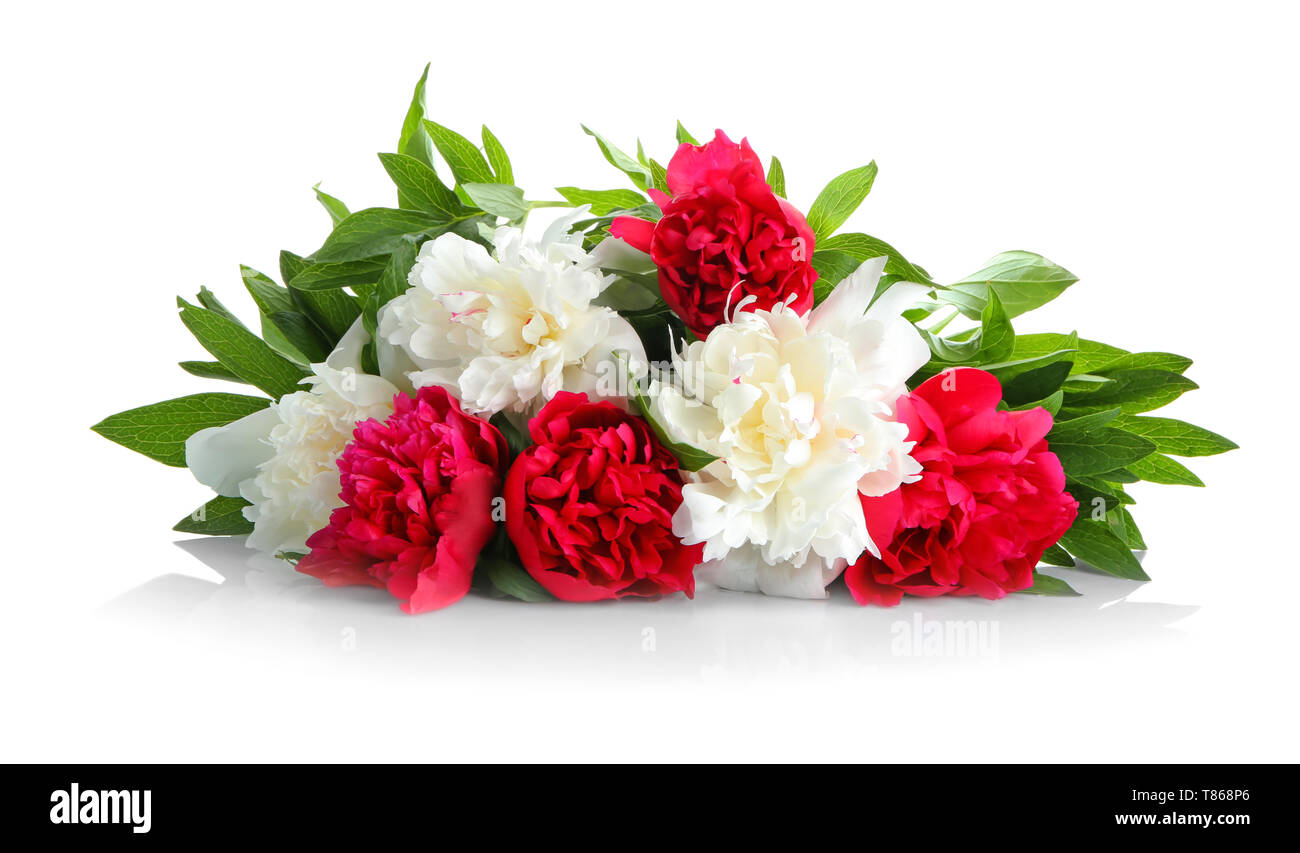 Beautiful peony flowers on white background Stock Photo - Alamy